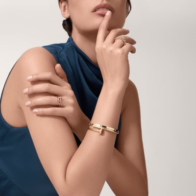 How Tiffany Lock Bracelet Stack Up With Cartier Love Bracelet Or Van Cleef  Arpels Alhambra bracelets ?